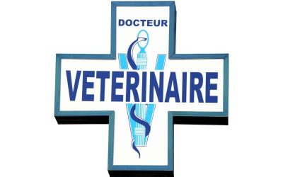 Dr Olivier Le METAYER – Vétérinaire praticien employeur