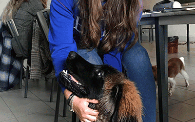 Morbecque : à La Motte-au-Bois, en classe avec les futures auxiliaires vétérinaires et leurs chiens