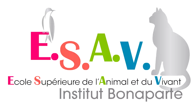 PNG Logo ESAV Institut Bonaparte