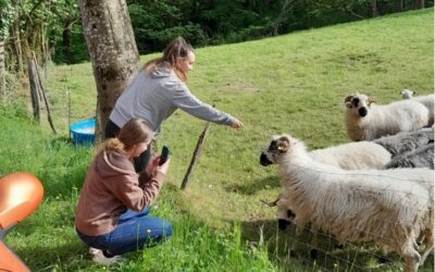 Les étudiants en sortie agricole