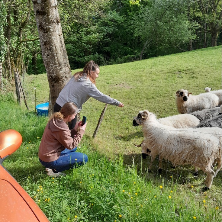 Des étudiants rencontrent Thônes et Marthod, une race de moutons français