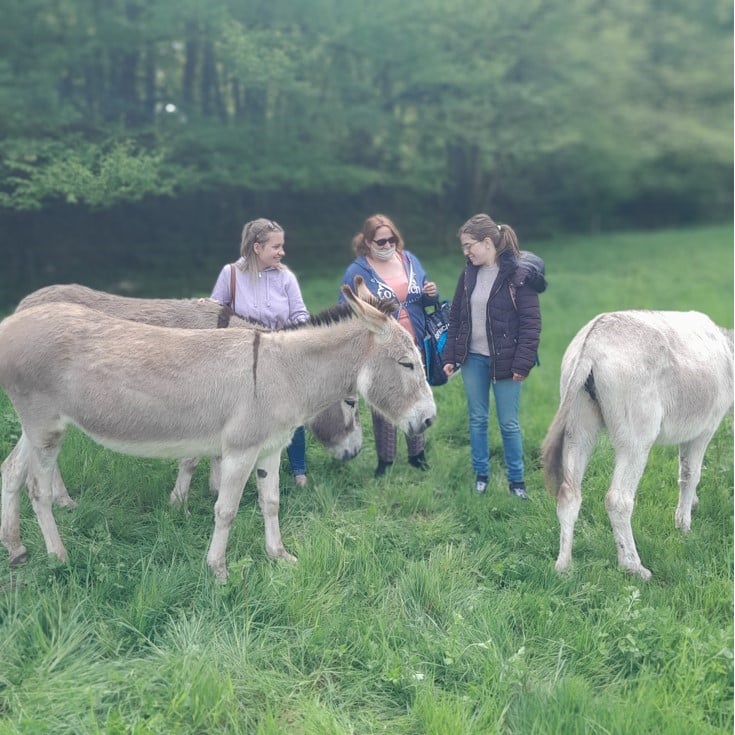 Des étudiants rencontrent un âne lors d'une excursion à la ferme