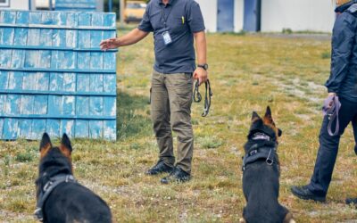 La formation éducateur canin arrive à Strasbourg