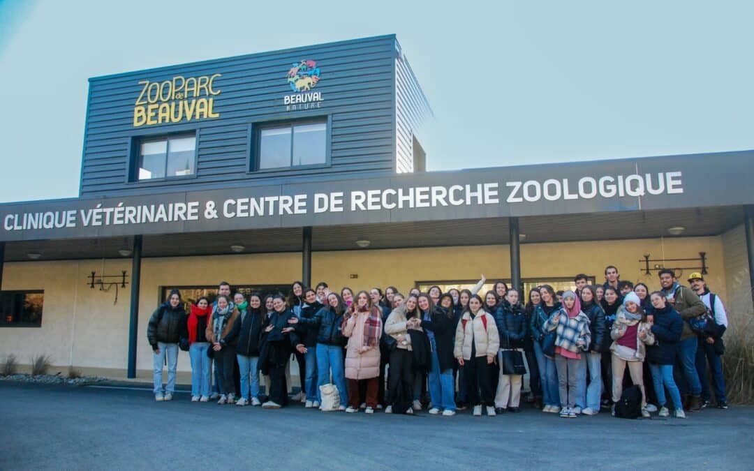 Nos étudiants au Zoo de Beauval