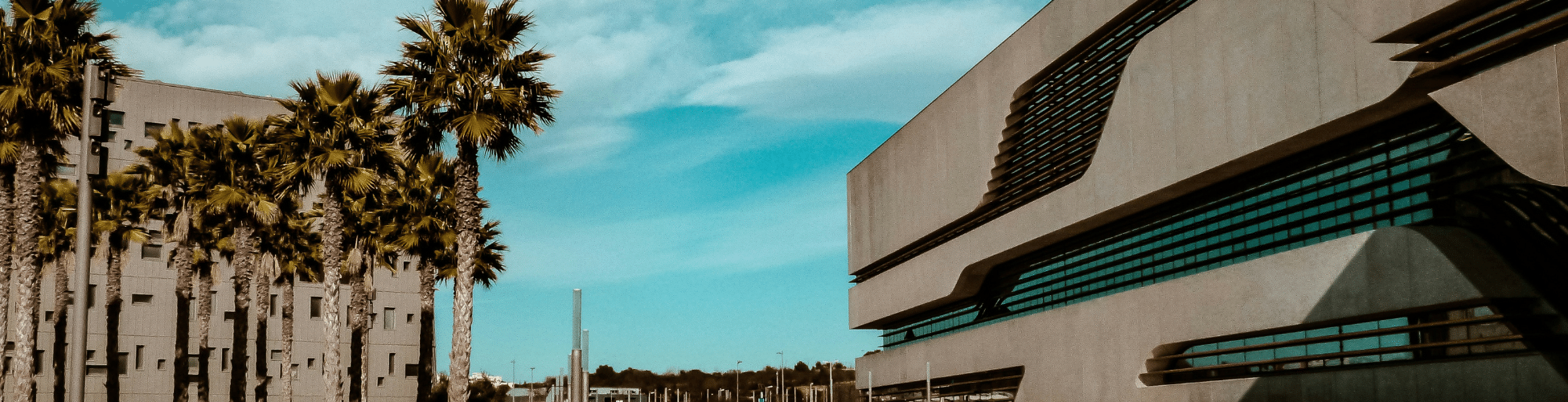 ville de Montpellier avec des palmiers, un ciel bleu et le bâtiment Pierresvives Montpellier : Pierresvives de Zaha Hadid