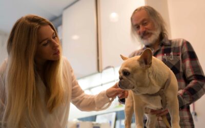 Conférence – L’importance du consentement chez les animaux de compagnie